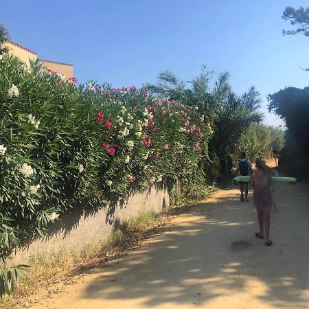 La Corse Tranquille 300M De La Plage Et Piscine Linguizzetta Exterior foto